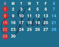 SCHEDULE