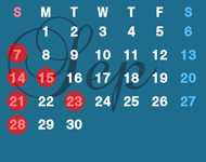 SCHEDULE