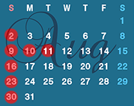 SCHEDULE